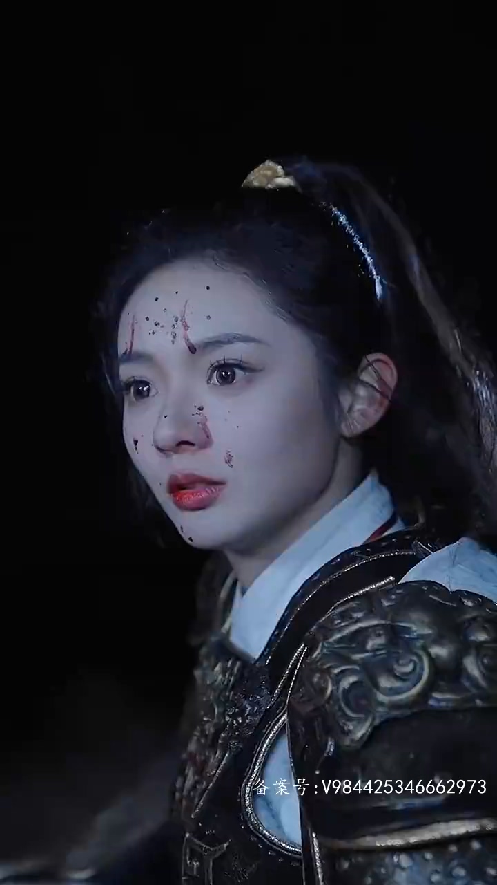 我的野蛮女将军封面图