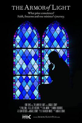 真光的盔甲封面图