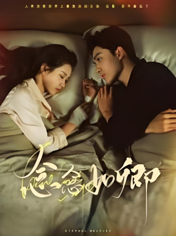 念念如卿封面图