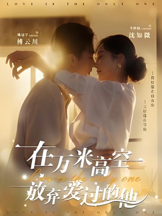 在万米高空放弃爱过的他封面图