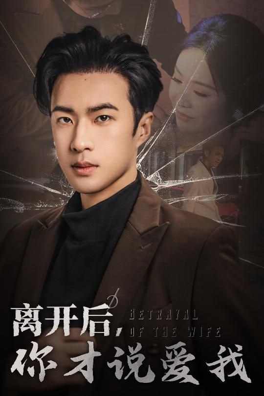 离开后你才说爱我封面图