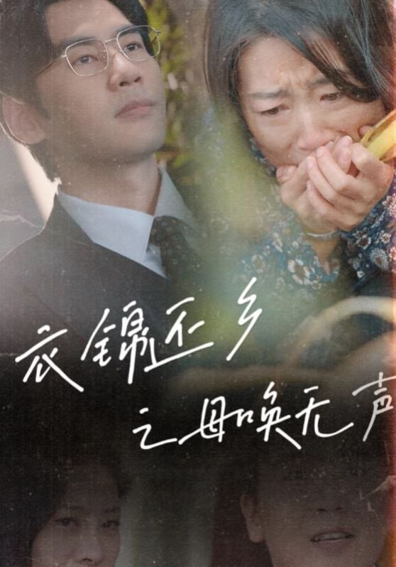 衣锦还乡之母唤无声封面图