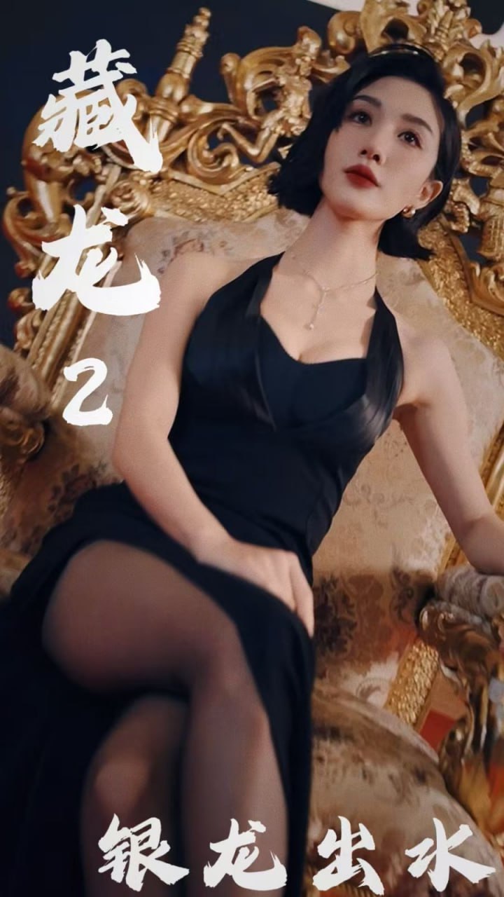藏龙2银龙出水封面图