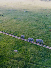 大自然的守护者封面图