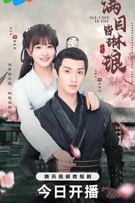 满目皆琳琅封面图