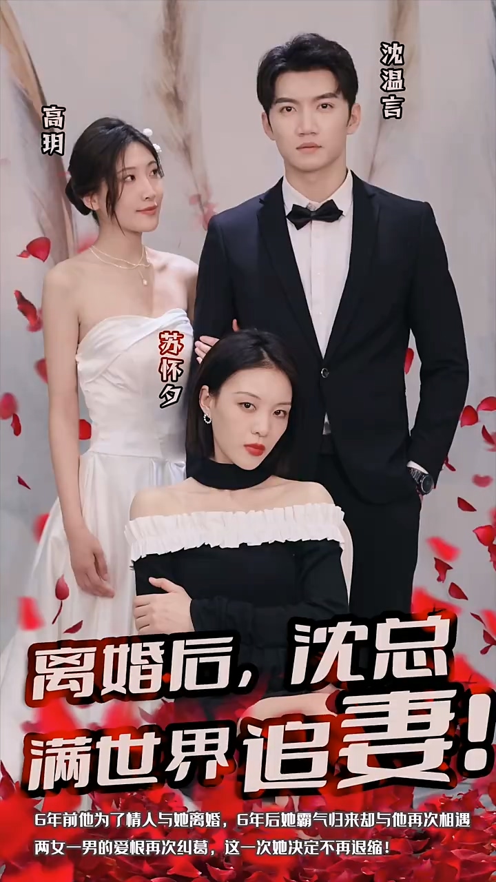 离婚后，沈总满世界追妻封面图