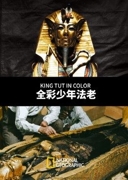 全彩少年法老封面图