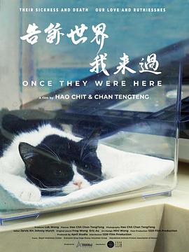 告诉世界我来过封面图