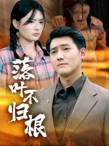 落叶不归根封面图