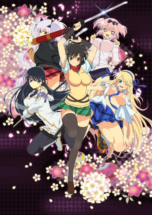 闪乱神乐 忍者大师 东京妖魔篇封面图