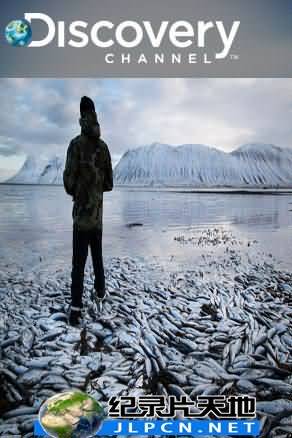 冰海捕鲱大战封面图