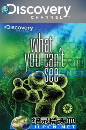 肉眼不见的世界封面图