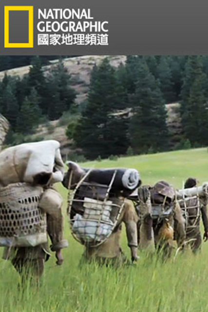 活在荒野封面图