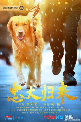 忠犬归来封面图