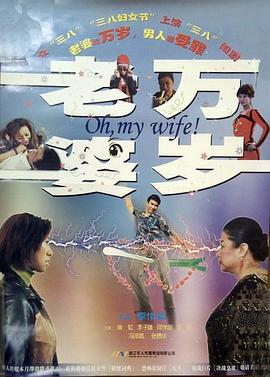 老婆万岁封面图