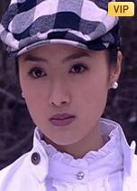 宝石迷踪封面图