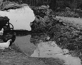 土地来的水封面图