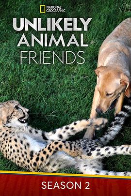 不可思议的好朋友 第二季封面图