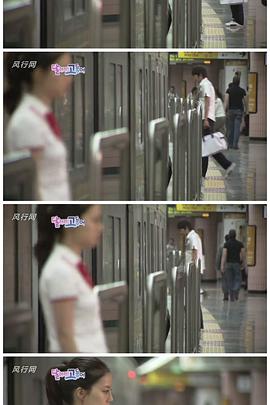 奔跑吧，鲭鱼封面图