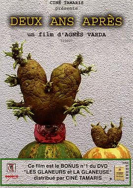 艾格妮捡风景：两年后封面图