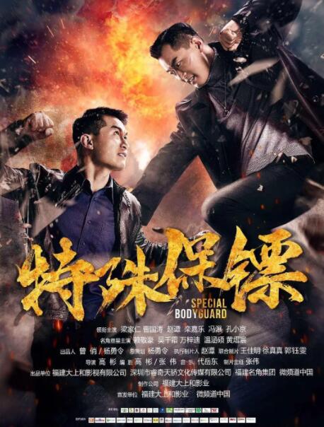 特殊保镖封面图