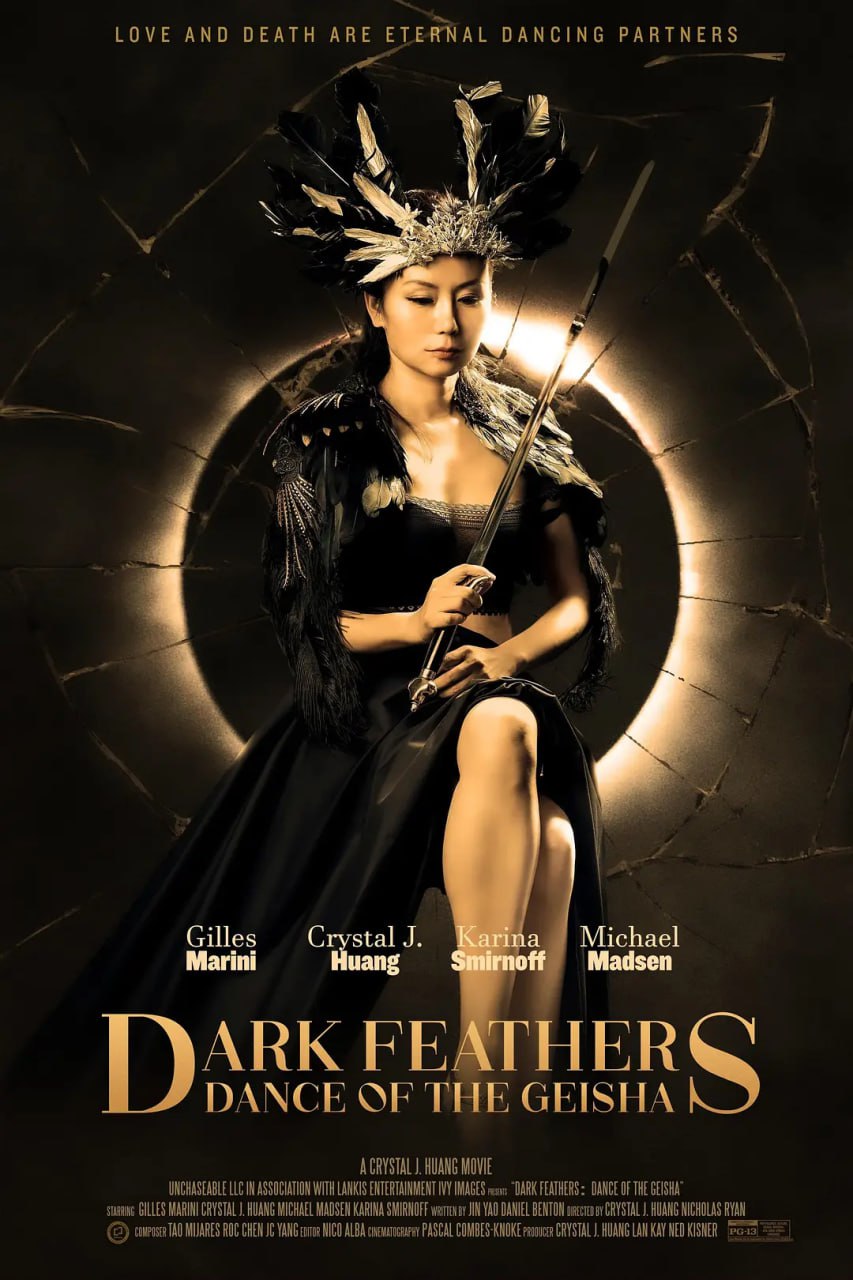 暗翎之舞 Dark Feathers封面图