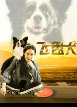飞盘犬 (2020)封面图