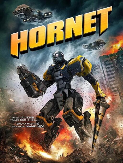 山寨大黄蜂封面图