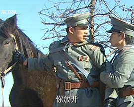 寻凶记2009封面图