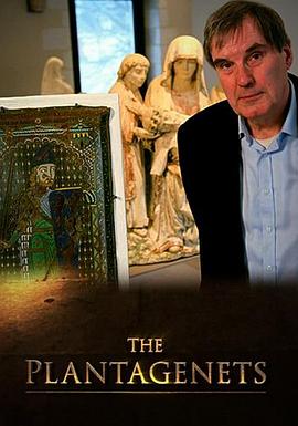 金雀花王朝封面图