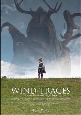 风的痕迹封面图