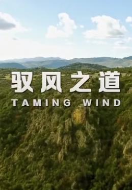 驭风之道封面图