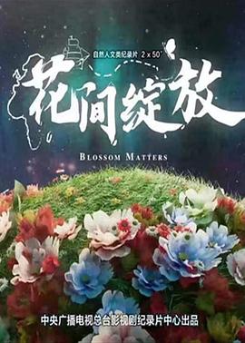 花间绽放封面图