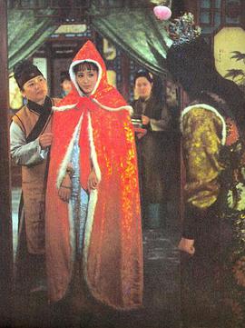 红楼梦第四部：二尤惨死封面图