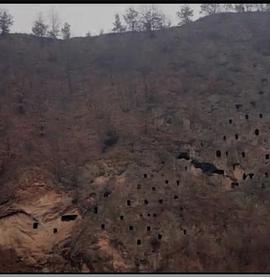 狩猎场·寄死窑封面图