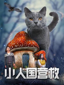 小人国营救封面图