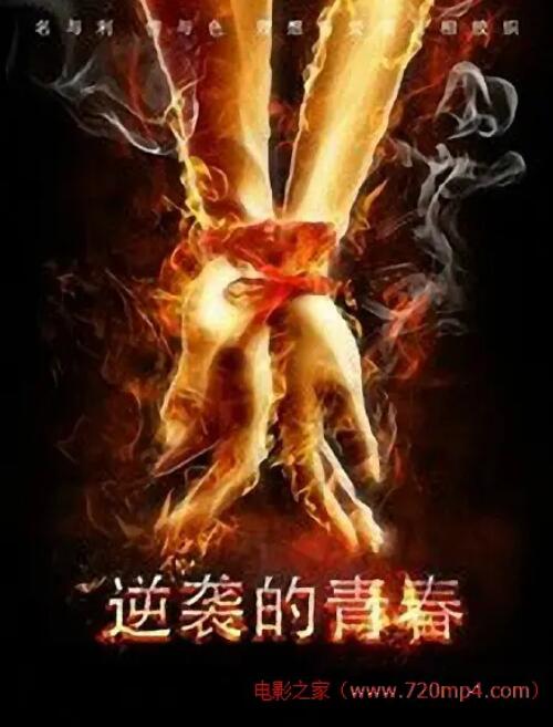 逆袭的青春封面图