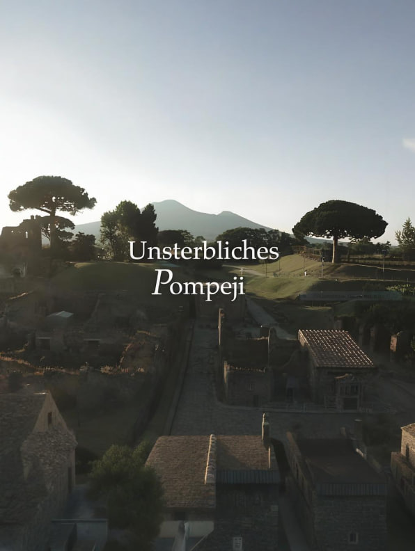 难以言喻的庞贝封面图