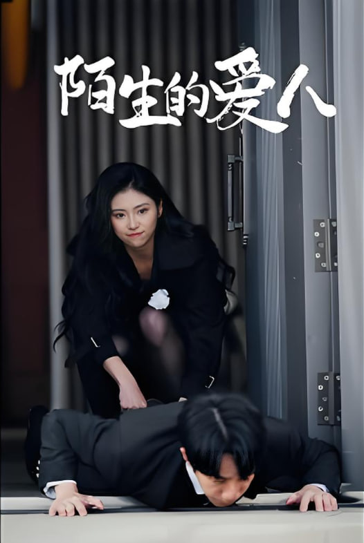 陌生的爱人封面图