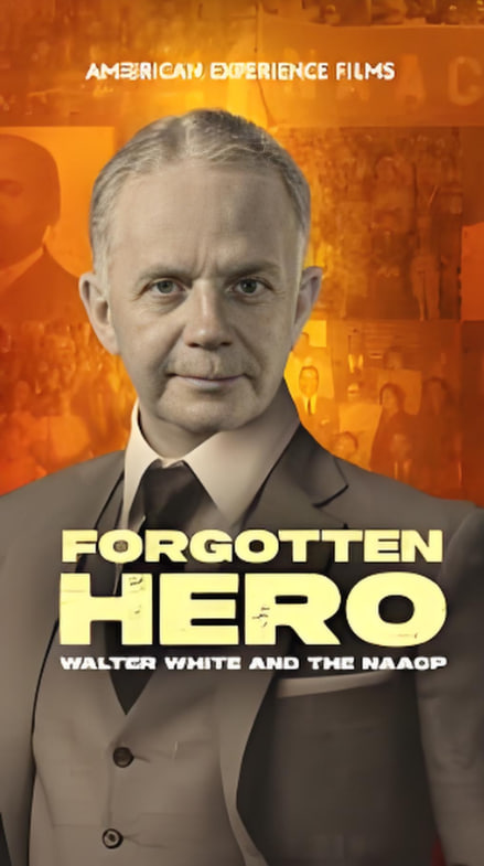 美国历史封面图