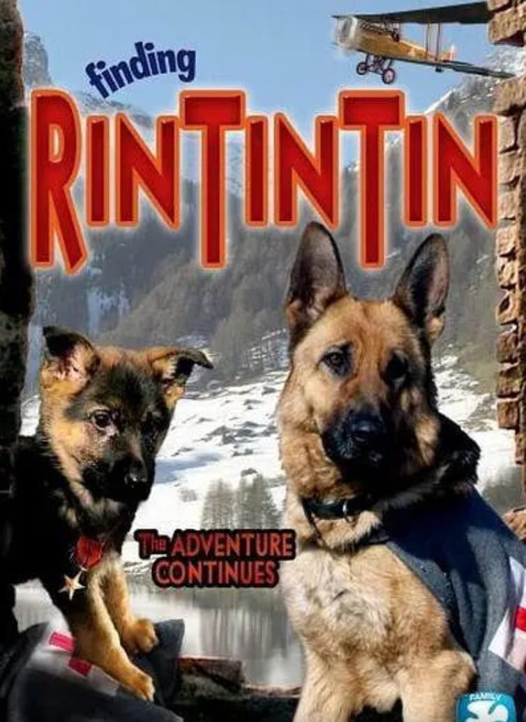 发现任丁丁封面图