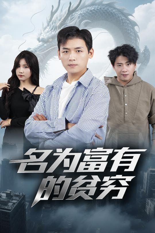 名为富有的贫穷封面图