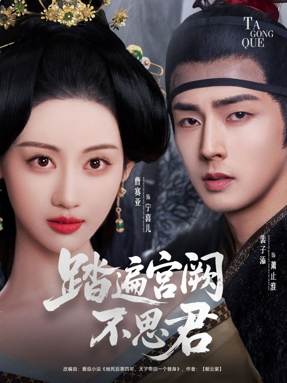 踏遍宫阙不思君封面图