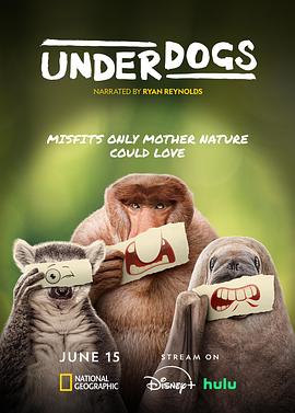 失败者2025封面图