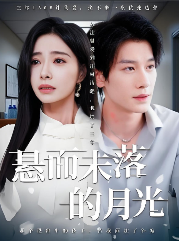 悬而未落的月光封面图