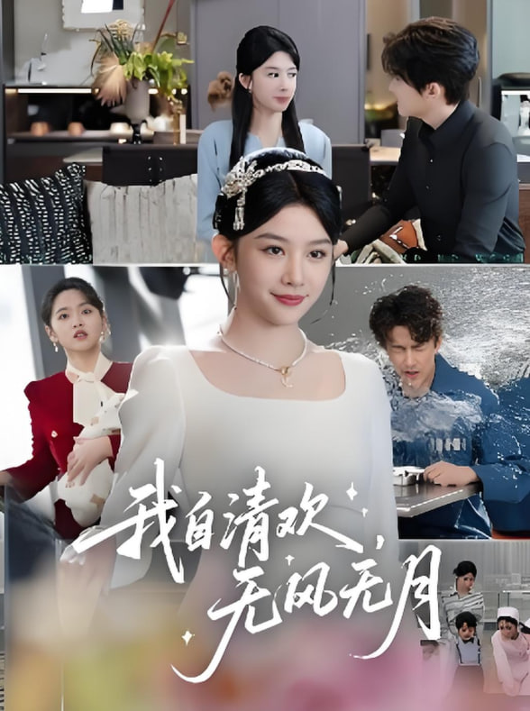我自清欢无风无月封面图