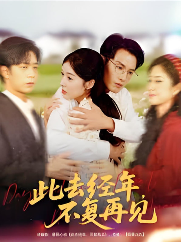 此去经年不复再见封面图