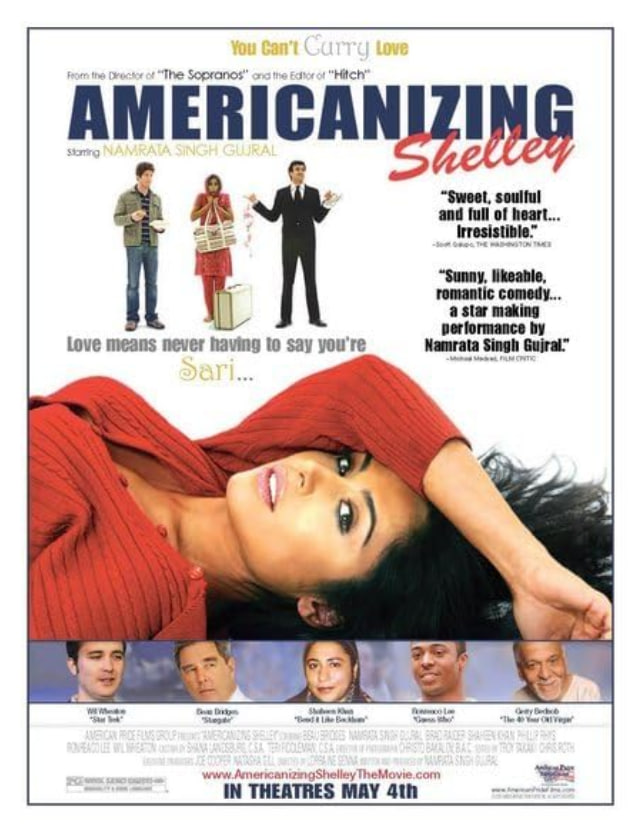 美国化的雪莱封面图