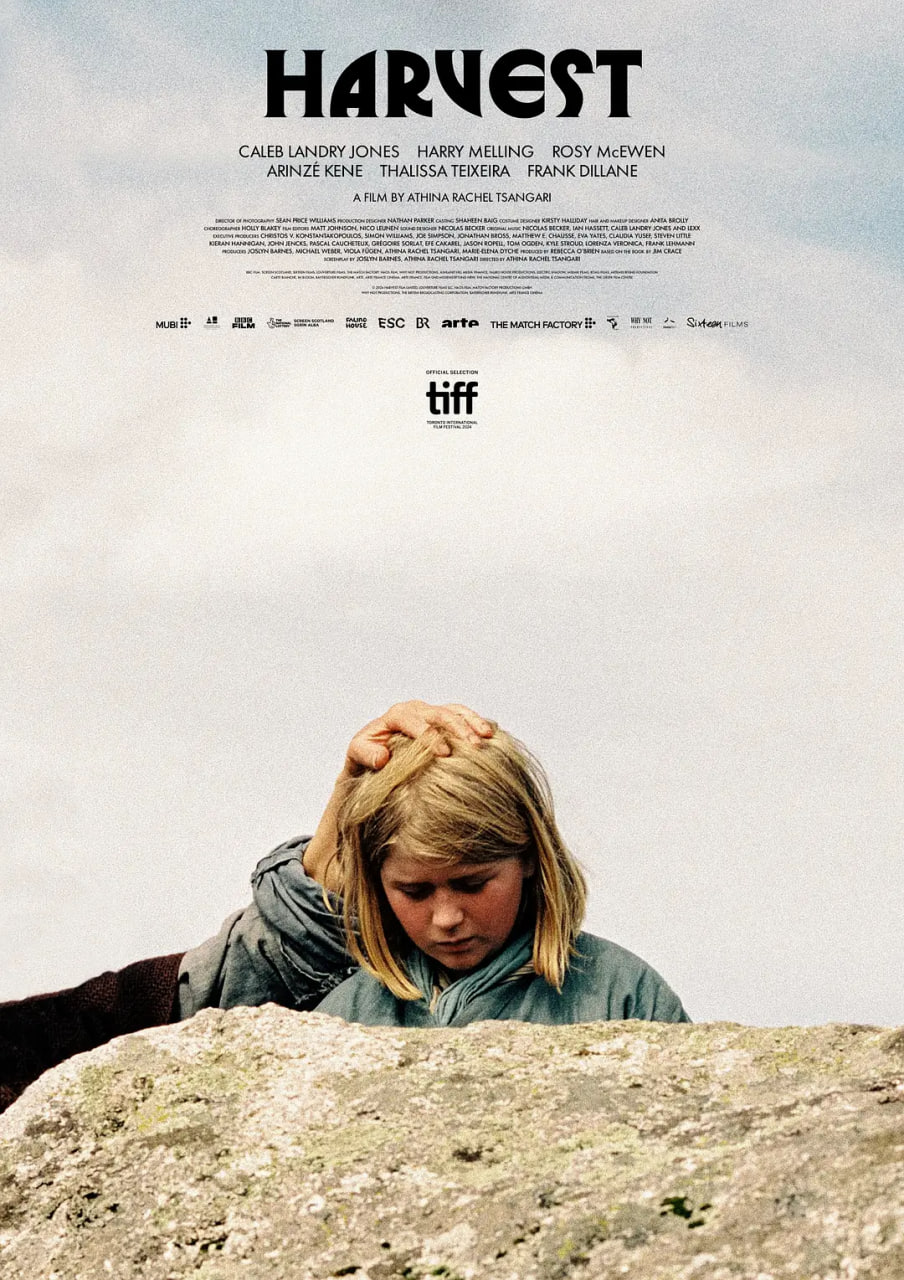 收成 2024封面图