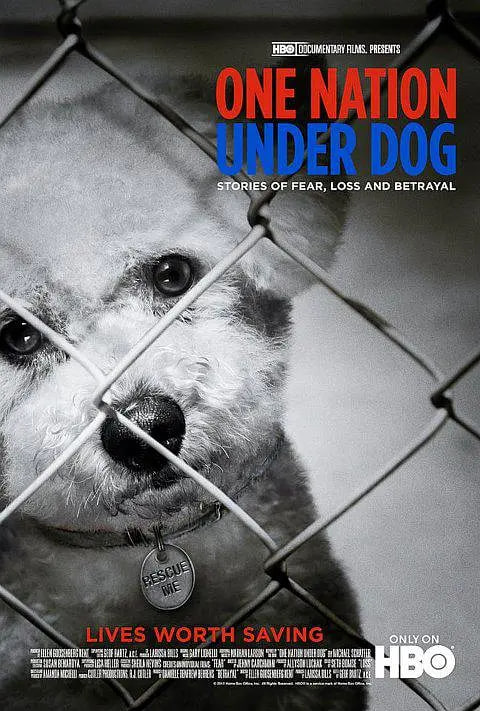 属于狗的王国封面图